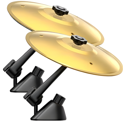 Platillo Musical para Auto